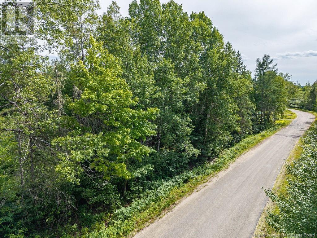 50 Walsh Road, Whitney, New Brunswick  E1V 4K1 - Photo 4 - NB114244