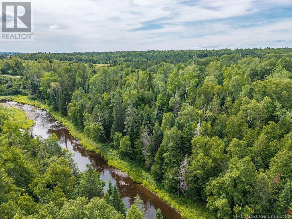 50 Walsh Road, Whitney, New Brunswick  E1V 4K1 - Photo 5 - NB114244