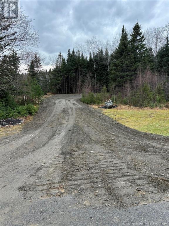 1636 Chemin De La Rivière Verte, Saint-Basile, New Brunswick  E7C 2L4 - Photo 6 - NB114339