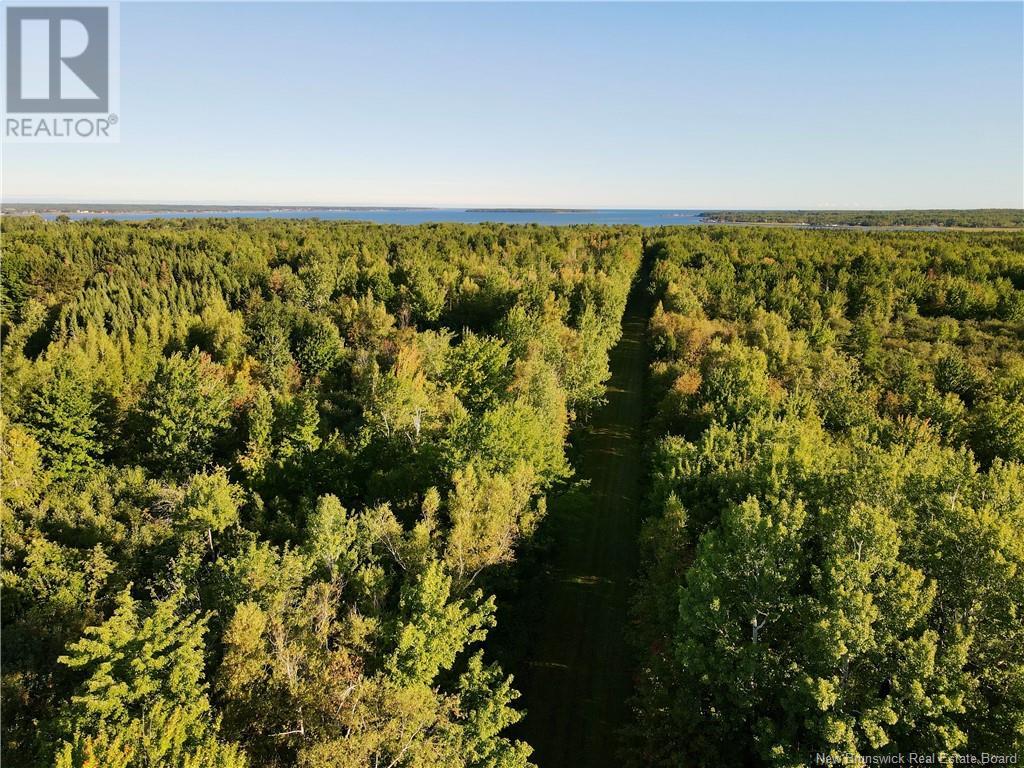 4424 Route 530, Grande-Digue, New Brunswick  E4R 5P9 - Photo 4 - NB114689