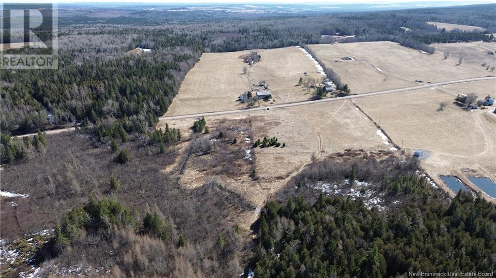 4060 Route 880, Havelock, New Brunswick  E4Z 5J7 - Photo 11 - NB114594