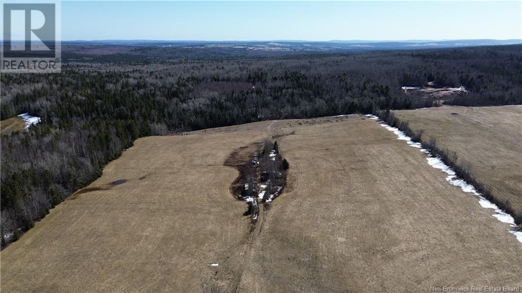 4060 Route 880, Havelock, New Brunswick  E4Z 5J7 - Photo 27 - NB114594