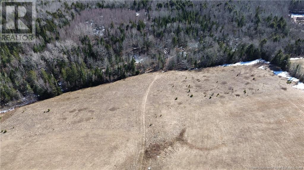 4060 Route 880, Havelock, New Brunswick  E4Z 5J7 - Photo 29 - NB114594