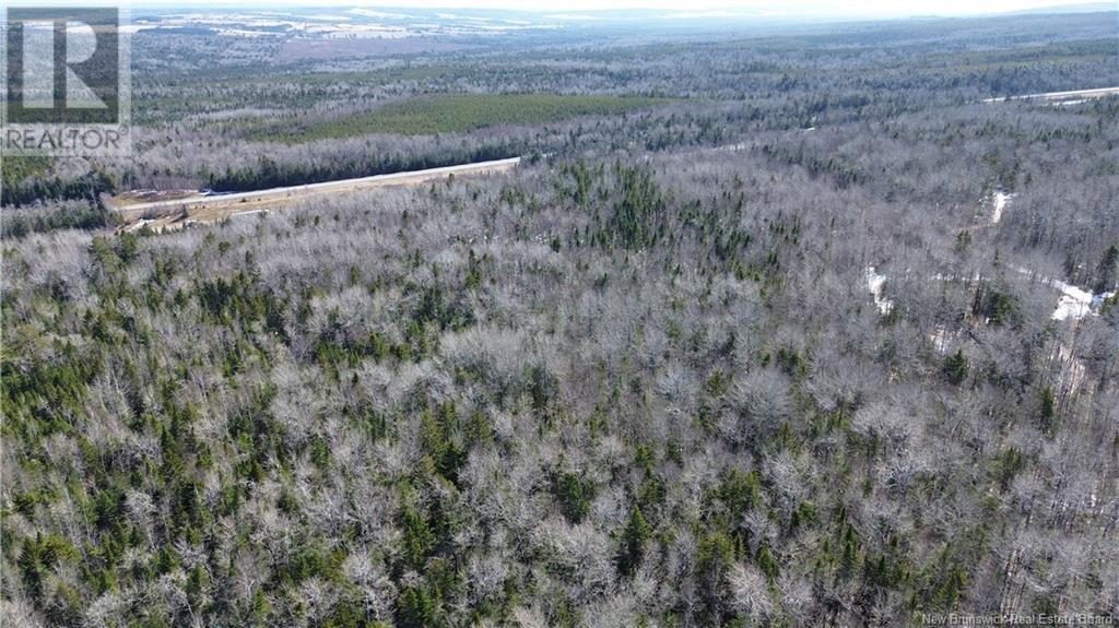 4060 Route 880, Havelock, New Brunswick  E4Z 5J7 - Photo 31 - NB114594