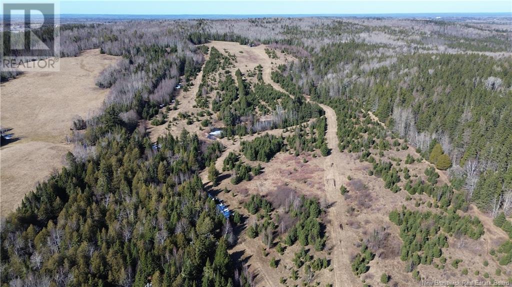 4060 Route 880, Havelock, New Brunswick  E4Z 5J7 - Photo 4 - NB114594