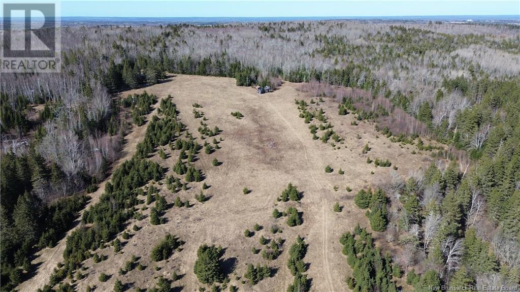4060 Route 880, Havelock, New Brunswick  E4Z 5J7 - Photo 6 - NB114594