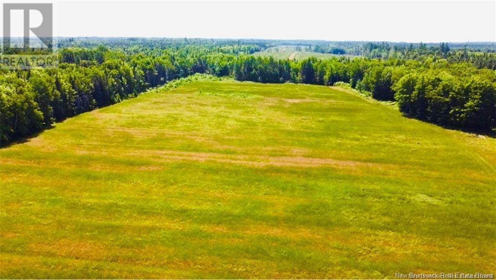 Route 340, New Bandon, New Brunswick  E2A 5E7 - Photo 10 - NB114815
