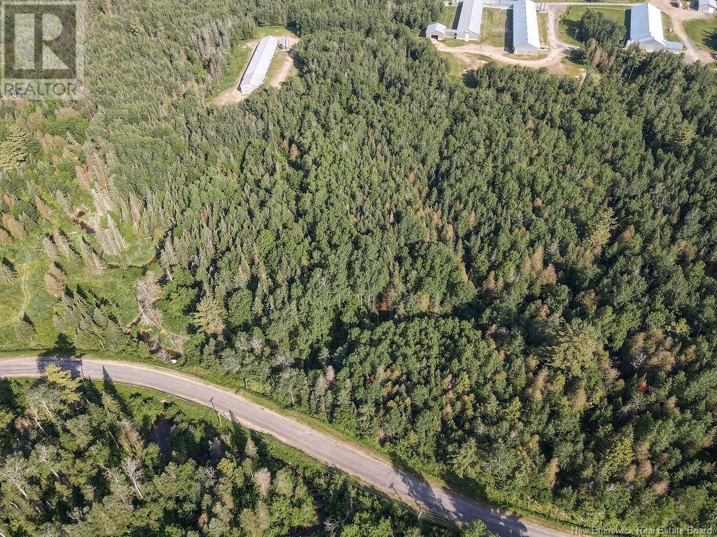 Lot 1 Sisson Settlement Road, Burtts Corner, New Brunswick  E6L 1W3 - Photo 6 - NB114920