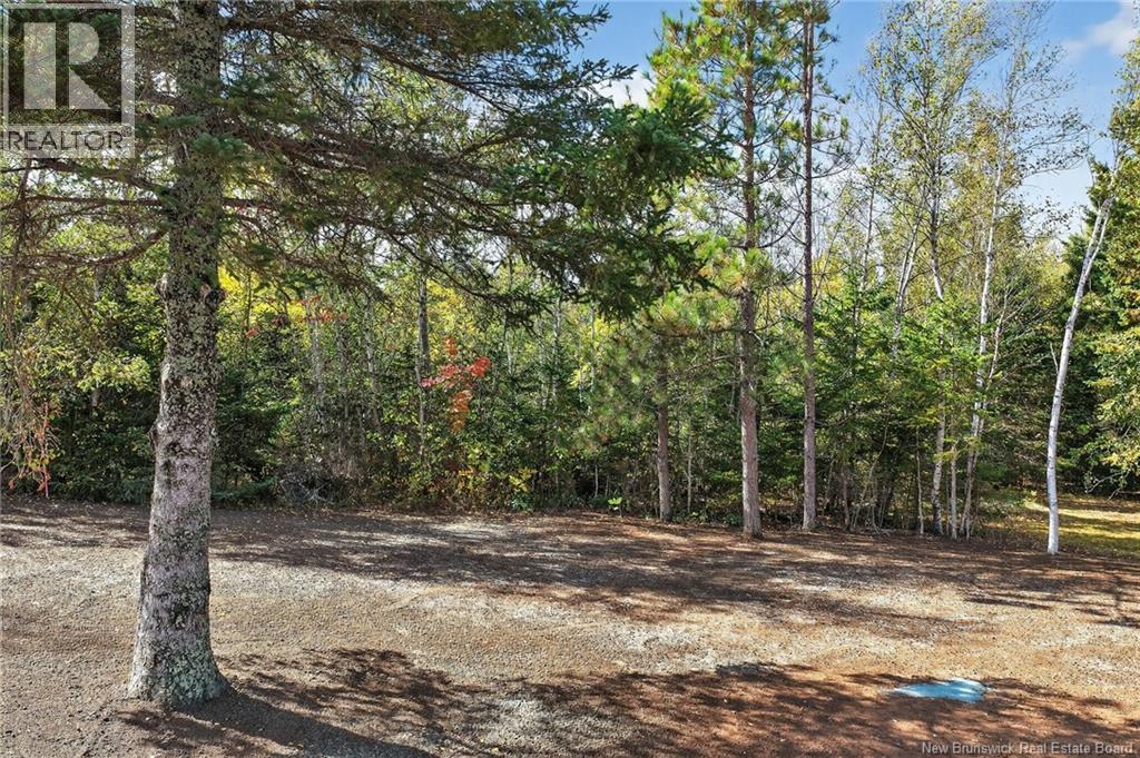 141 Cartier, Shediac, New Brunswick  E4P 1L3 - Photo 25 - NB114810