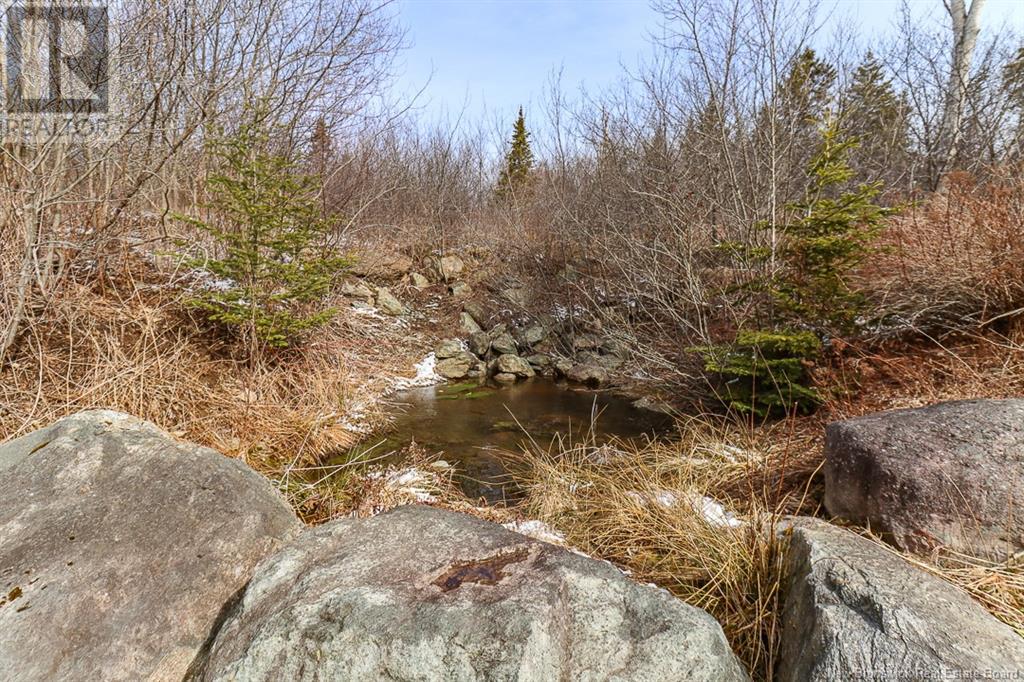 40 Foriere Drive, Saint John, New Brunswick  E2N 2E9 - Photo 49 - NB114852
