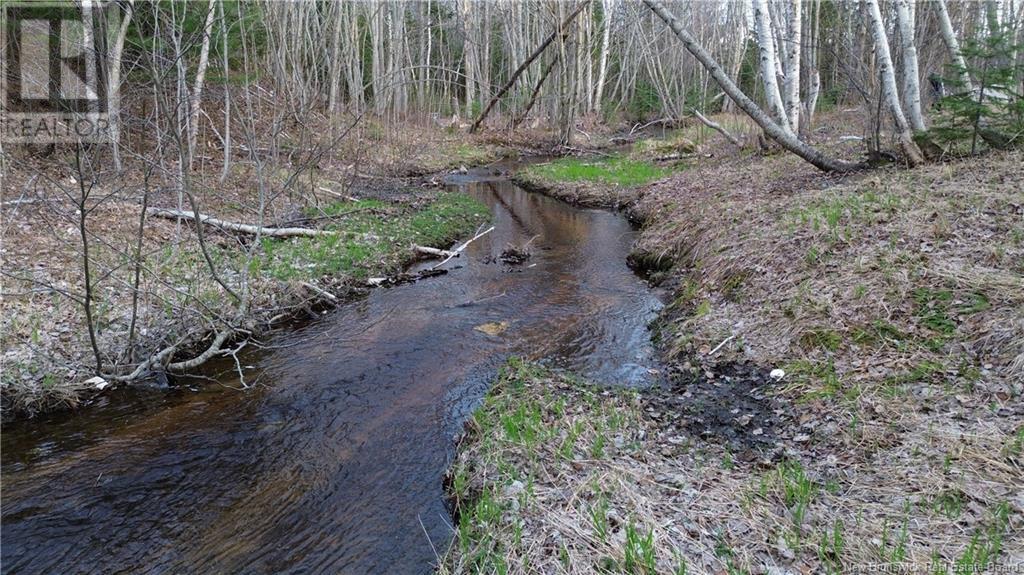 5044 11 Route, Brantville, New Brunswick  E9H 1N1 - Photo 2 - NB114874