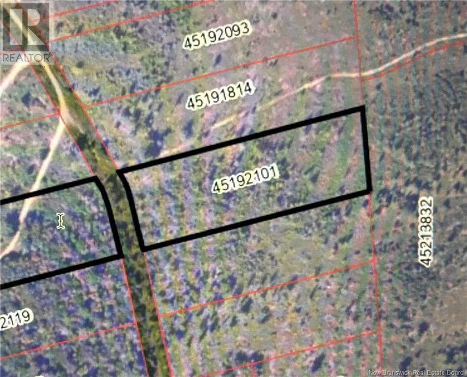 Lot 1 Wegesegum Road, Long Creek, New Brunswick  E4A 2R7 - Photo 3 - NB114926