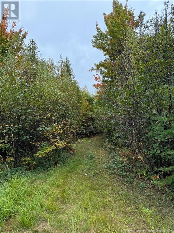 Lot 12-3 Wegesegum Road, Long Creek, New Brunswick  E4A 2R7 - Photo 2 - NB114918