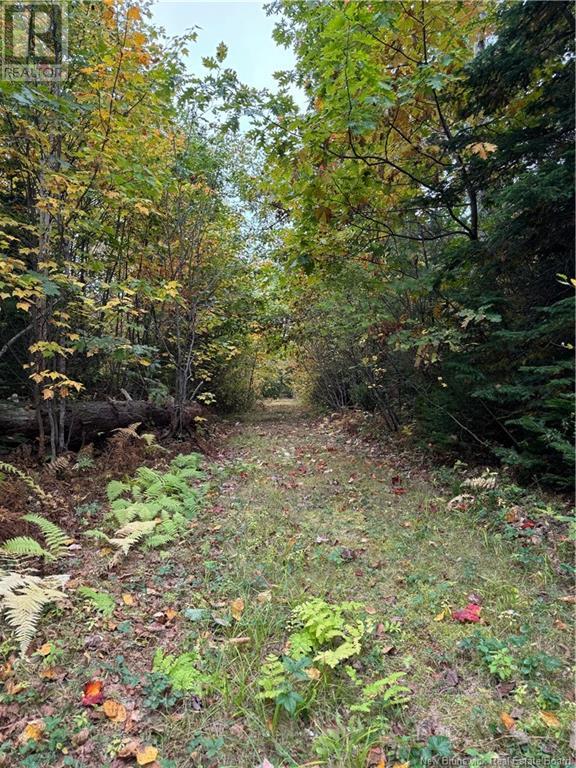 Lot 12-3 Wegesegum Road, Long Creek, New Brunswick  E4A 2R7 - Photo 3 - NB114918