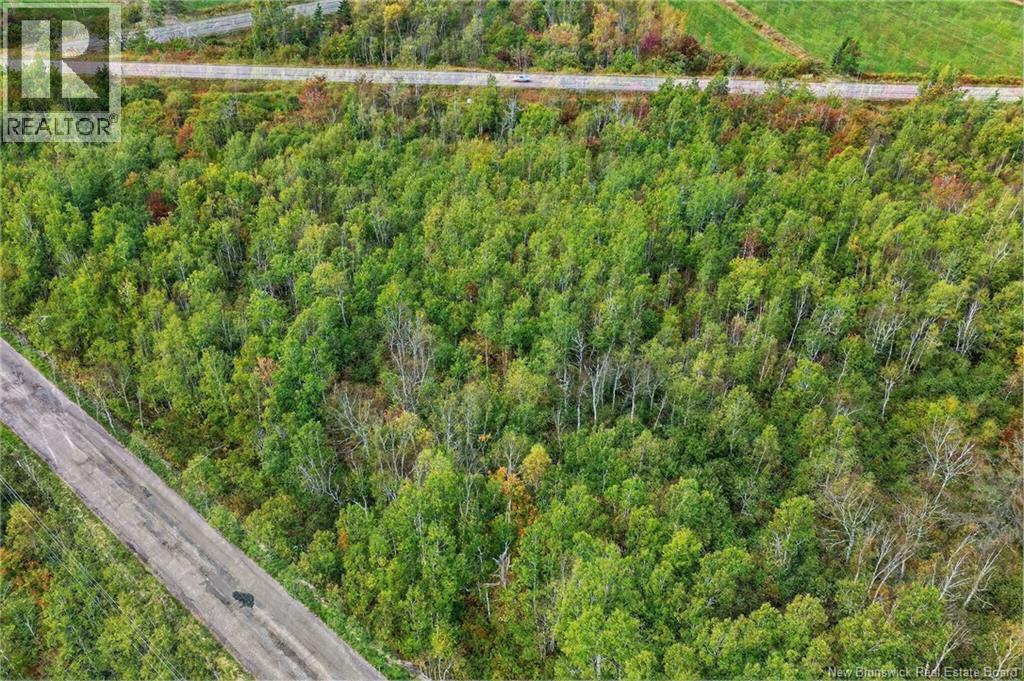 12 Davis Road, Mates Corner, New Brunswick  E4M 1W4 - Photo 6 - NB114820