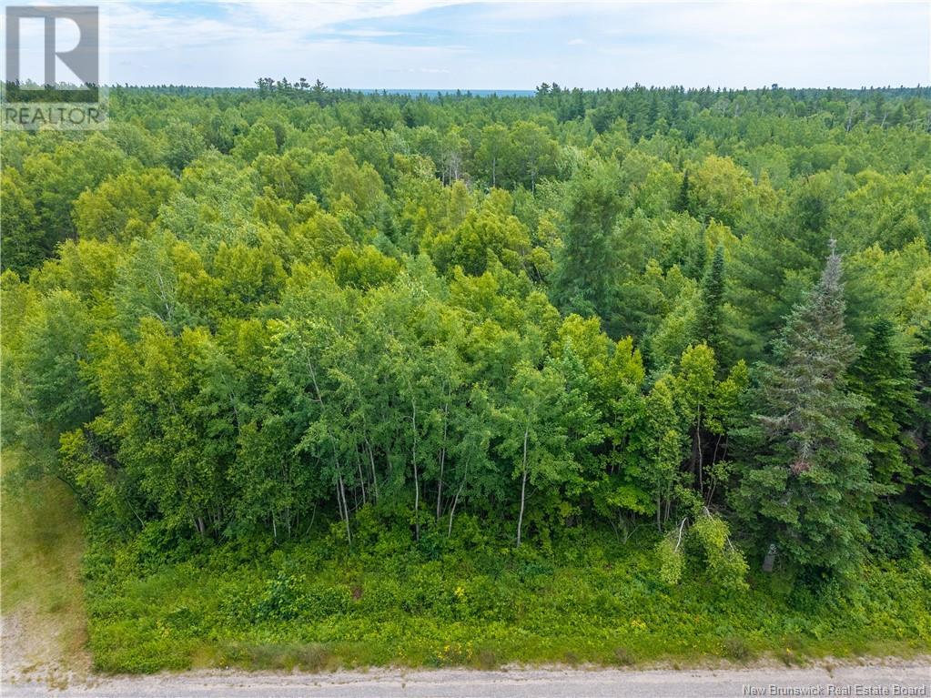 Lloyd Road, Miramichi, New Brunswick  E1V 6L5 - Photo 5 - NB115120