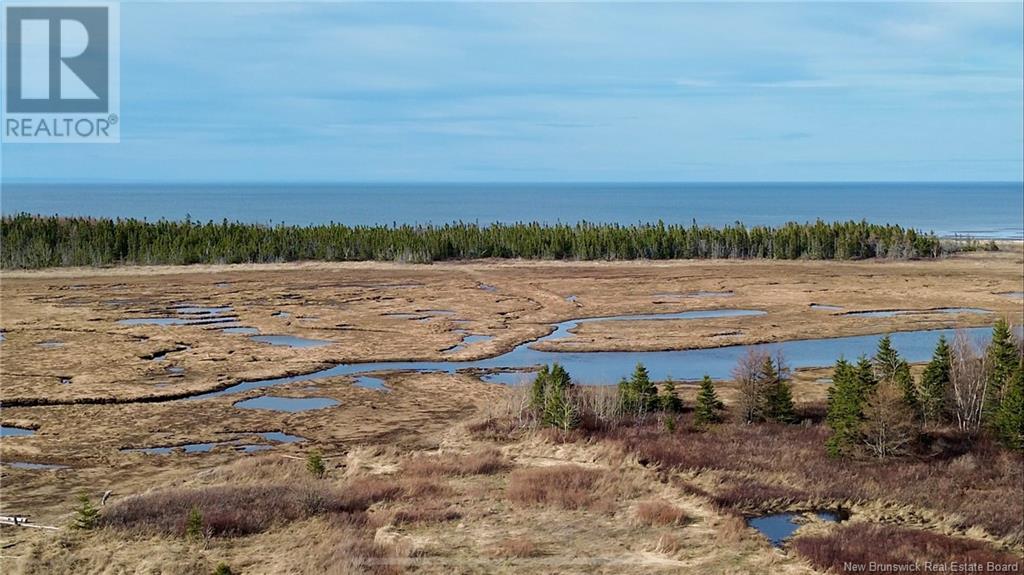 Na St-Paul Street, Bas-Caraquet, New Brunswick  E1W 6W4 - Photo 10 - NB115239