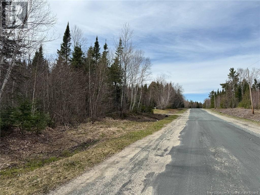 Lot 98-1 Parker Road, Williamstown, New Brunswick  E1V 5E8 - Photo 3 - NB115264