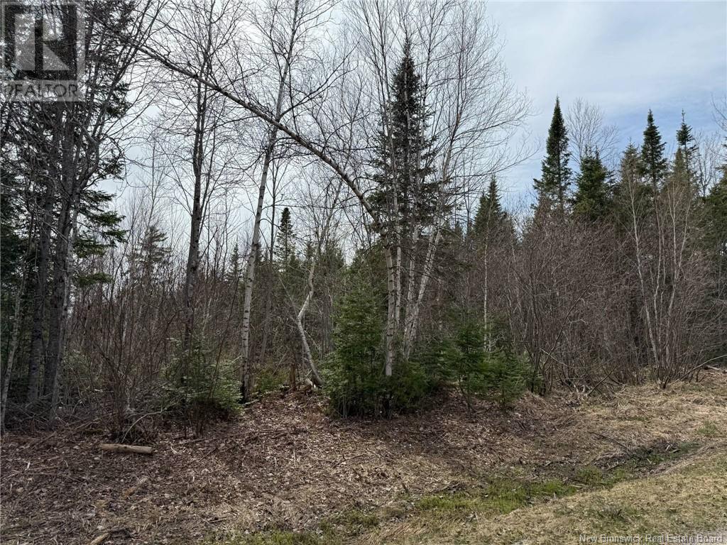 Lot 98-1 Parker Road, Williamstown, New Brunswick  E1V 5E8 - Photo 4 - NB115264