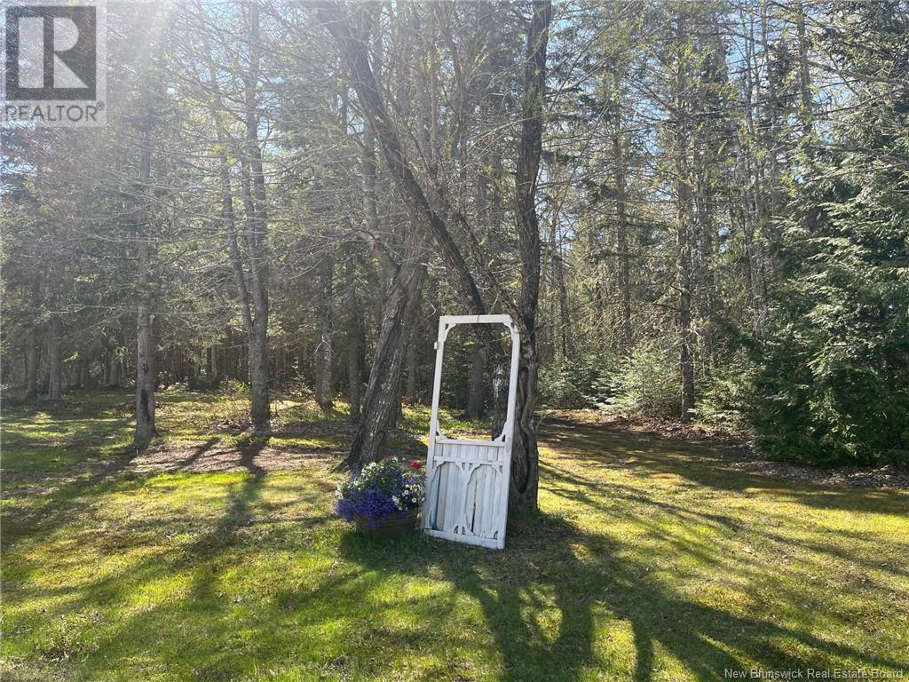 4223 Route 910, Shenstone, New Brunswick  E4H 4G8 - Photo 42 - NB115427