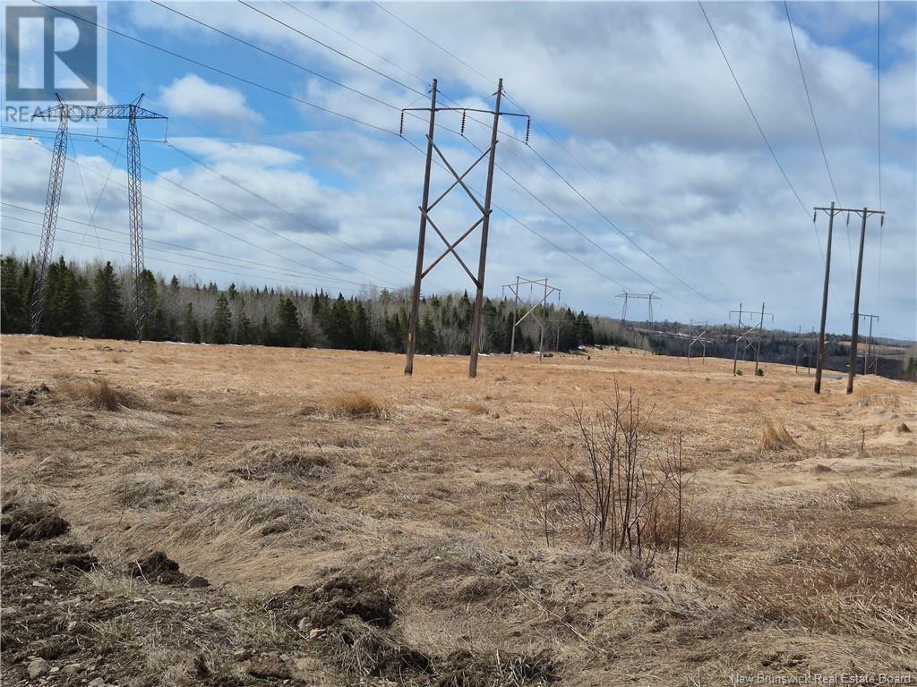 98.8 Acres Mutton Road, Belledune, New Brunswick  E8G 2E9 - Photo 2 - NB115337