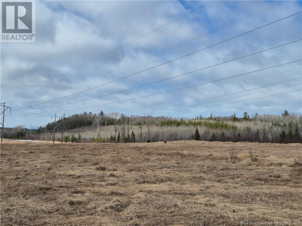 98.8 Acres Mutton Road, Belledune, New Brunswick  E8G 2E9 - Photo 3 - NB115337