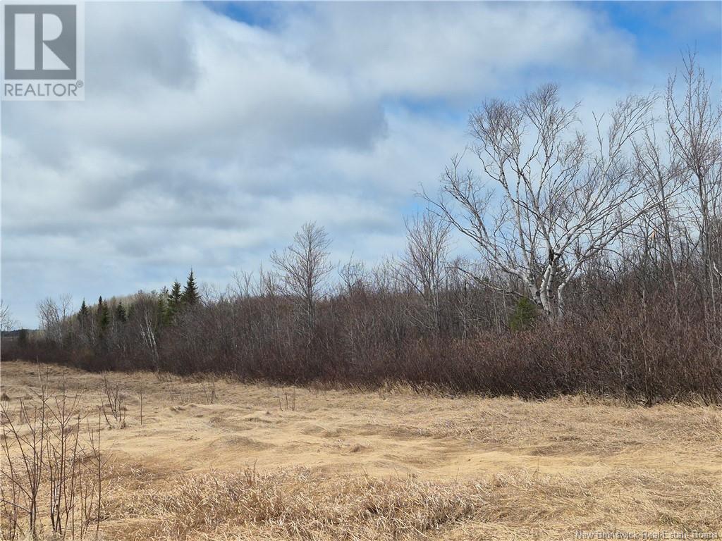 98.8 Acres Mutton Road, Belledune, New Brunswick  E8G 2E9 - Photo 4 - NB115337