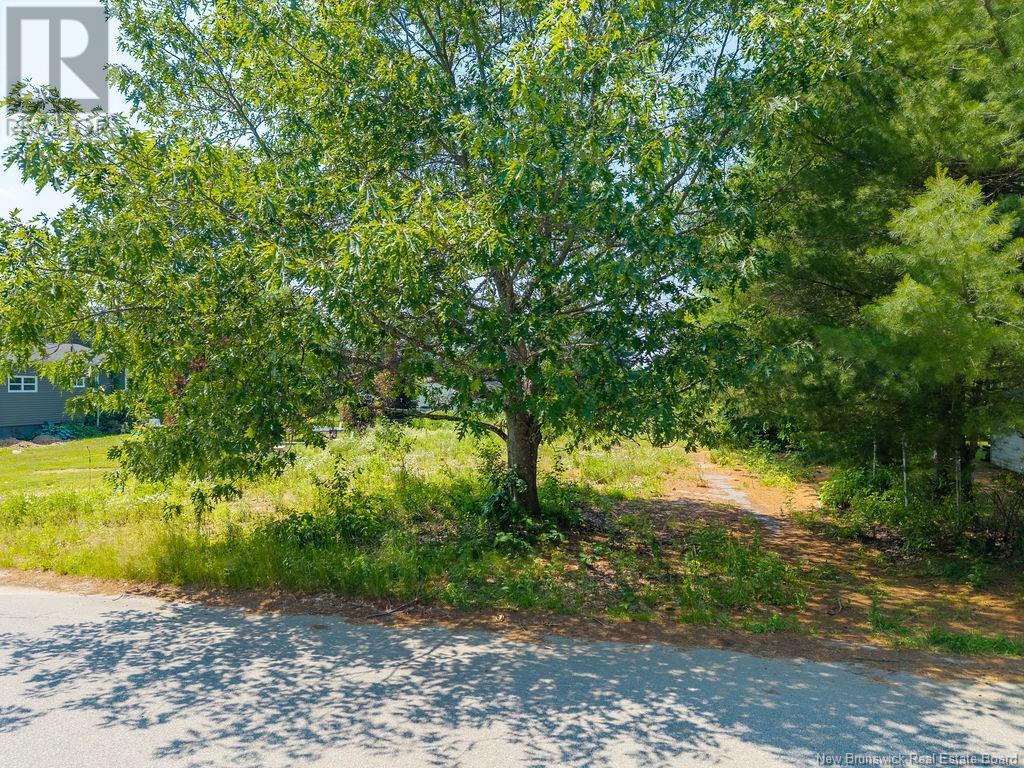 312 Brown Road, Miramichi, New Brunswick  E1V 3L6 - Photo 11 - NB115505