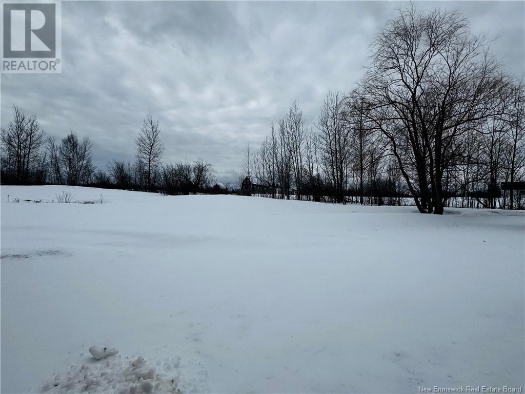 4103 Route 180, South Tetagouche, New Brunswick  E2A 7E9 - Photo 29 - NB115603