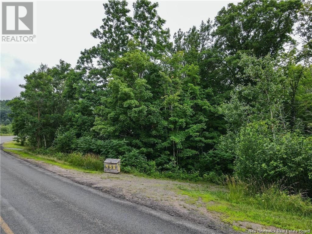 958 Route 710, Cambridge-Narrows, New Brunswick  E4C 1B5 - Photo 4 - NB115590