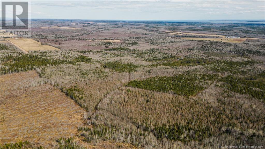 Lot Davis Road, Mates Corner, New Brunswick  E4M 3Y2 - Photo 4 - NB115671