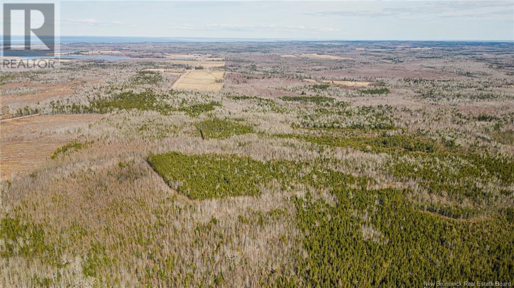 Lot Davis Road, Mates Corner, New Brunswick  E4M 3Y2 - Photo 5 - NB115671