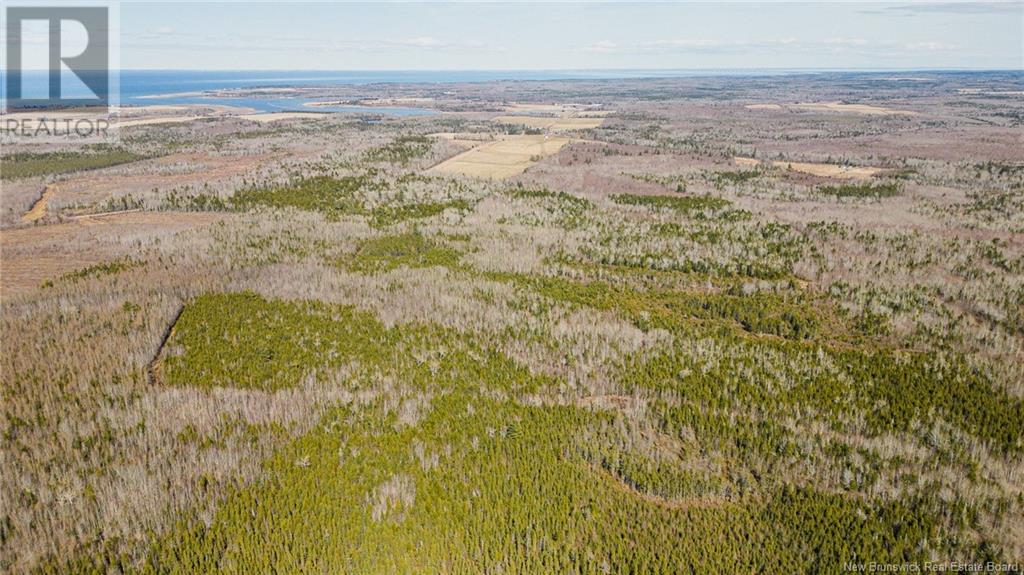 Lot Davis Road, Mates Corner, New Brunswick  E4M 3Y2 - Photo 6 - NB115671