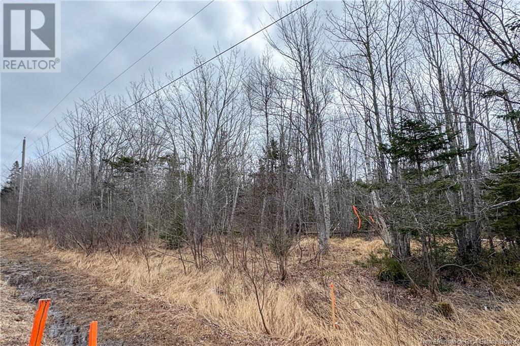 Lot 24-3 Route 960, Upper Cape, New Brunswick  E4M 2S4 - Photo 7 - NB115667