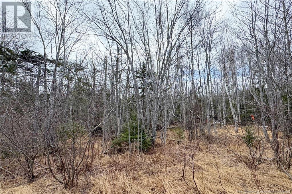 Lot 24-3 Route 960, Upper Cape, New Brunswick  E4M 2S4 - Photo 8 - NB115667