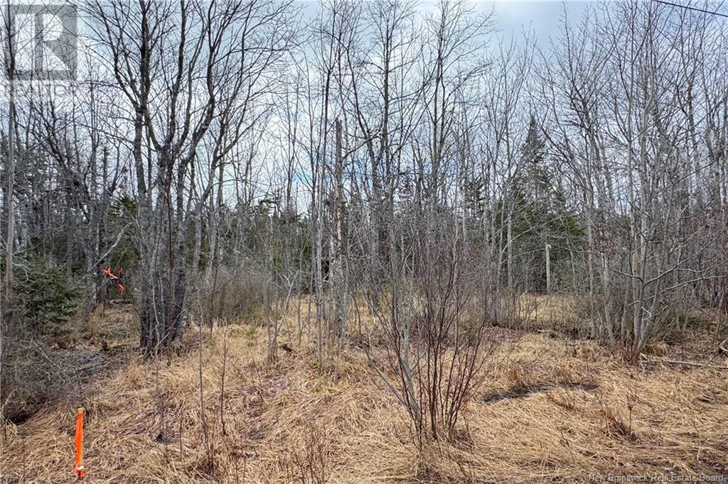 Lot 24-3 Route 960, Upper Cape, New Brunswick  E4M 2S4 - Photo 9 - NB115667