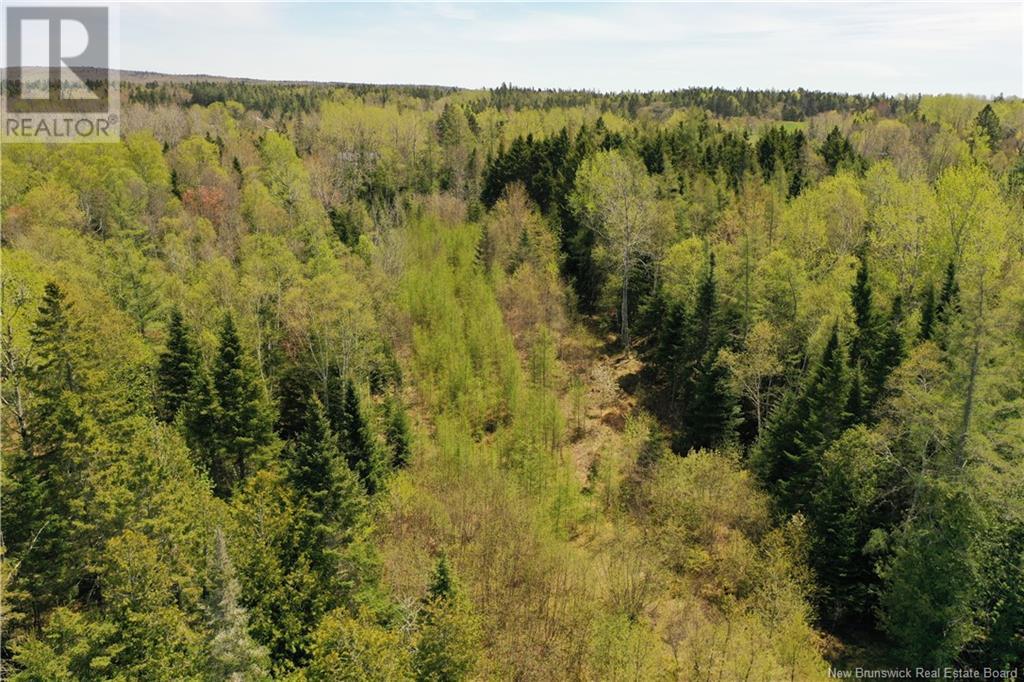 13 Lots Off Executive Drive, Hampton, New Brunswick  E5N 0J5 - Photo 17 - NB115601