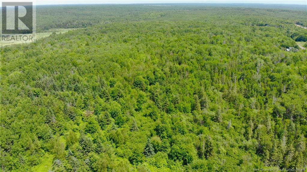 0 Route 115, Irishtown, New Brunswick  E1H 2N1 - Photo 14 - NB115187