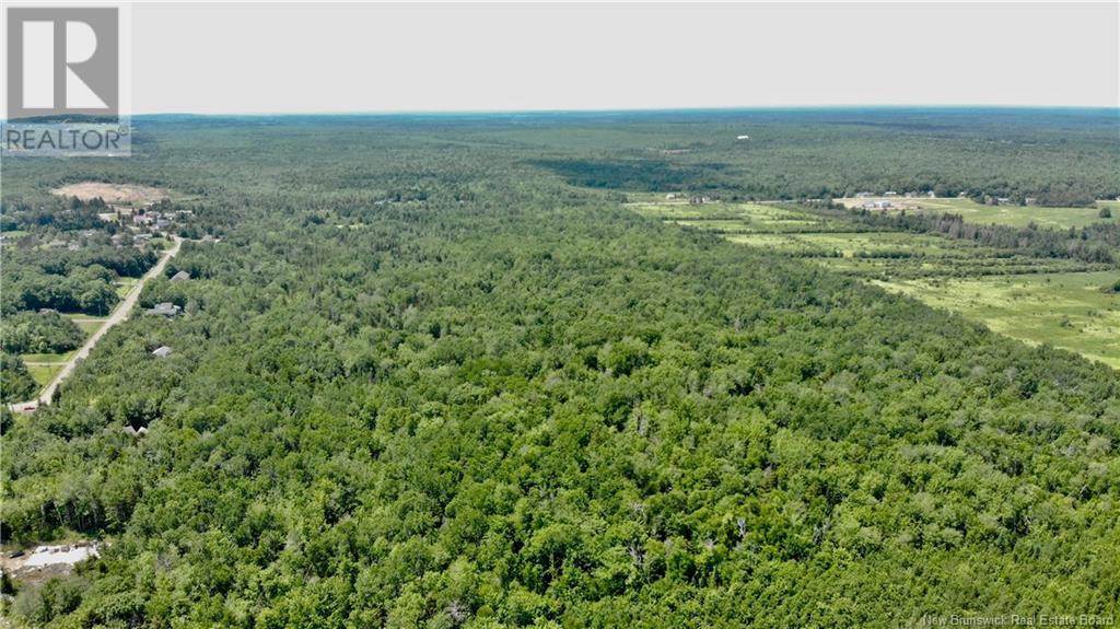 0 Route 115, Irishtown, New Brunswick  E1H 2N1 - Photo 16 - NB115187