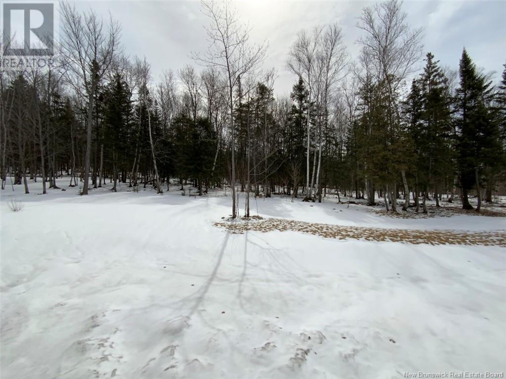 73 Réal Street, Edmundston, New Brunswick  E3V 0E2 - Photo 20 - NB115766