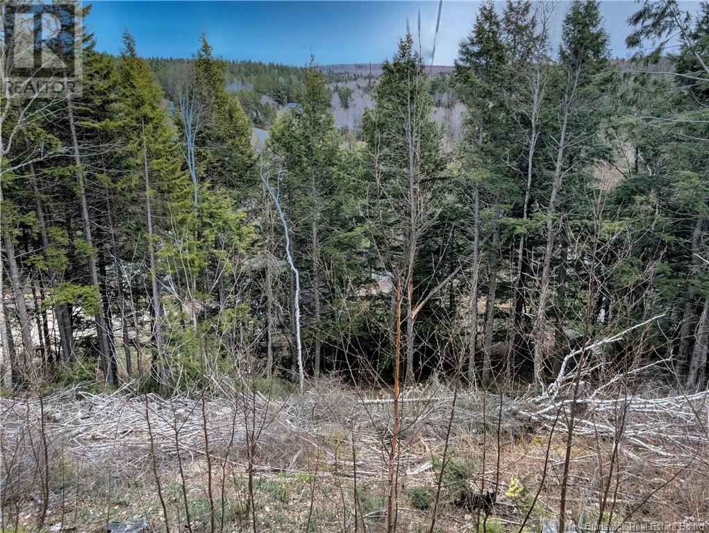 25 W Wilson Road, Parkindale, New Brunswick  E4J 1P4 - Photo 16 - NB115829