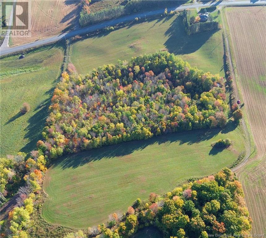 1115 560 Route, Jacksontown, New Brunswick  E7M 3L5 - Photo 19 - NB115921
