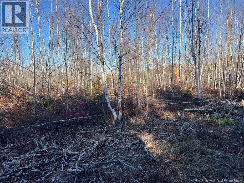 Lot 21 Fishing Club Road, Bass River, New Brunswick E4T 1H1 - Photo 7 - NB115970