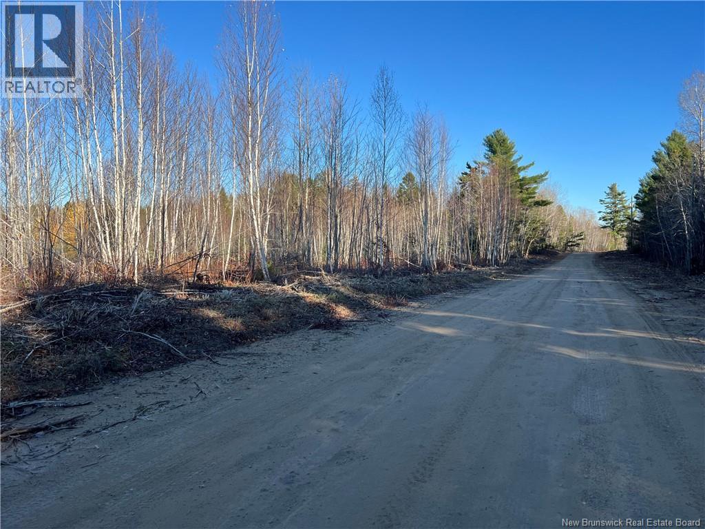 Lot 21 Fishing Club Road, Bass River, New Brunswick E4T 1H1 - Photo 8 - NB115970