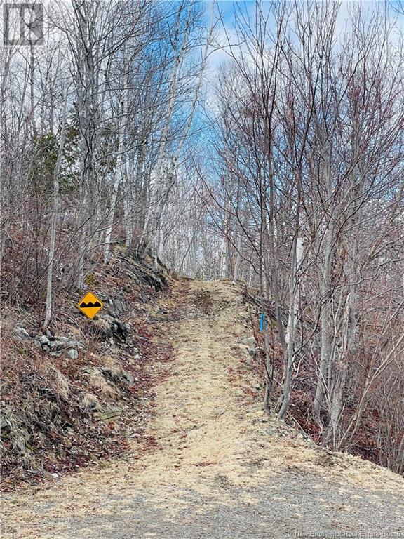 5677 Route 127, Bocabec, New Brunswick  E5B 3H8 - Photo 25 - NB115918