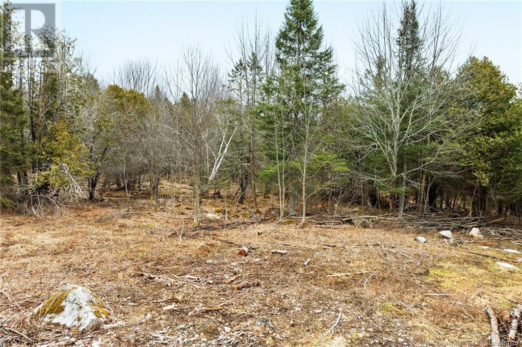 Lot Route 105, Southampton, New Brunswick  O0O 0O0 - Photo 10 - NB116018