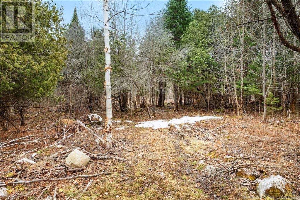 Lot Route 105, Southampton, New Brunswick  O0O 0O0 - Photo 11 - NB116018