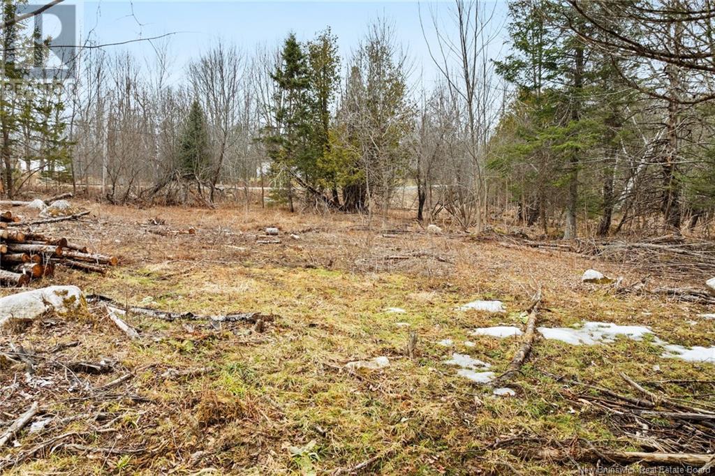 Lot Route 105, Southampton, New Brunswick  O0O 0O0 - Photo 12 - NB116018