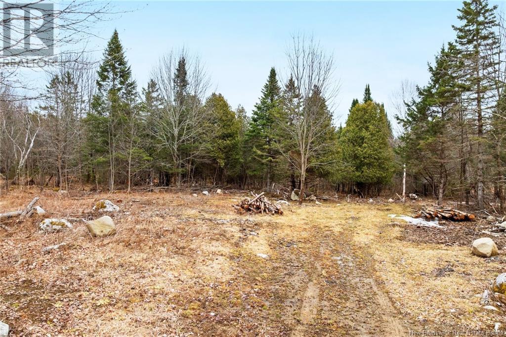Lot Route 105, Southampton, New Brunswick  O0O 0O0 - Photo 9 - NB116018