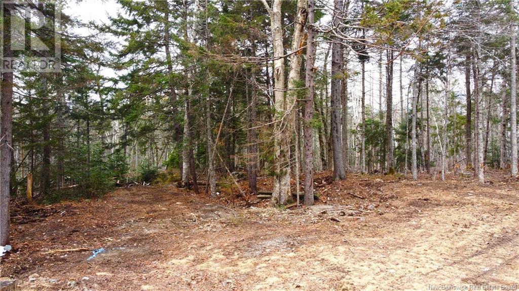 3715 Route 760, St George, New Brunswick  E5C 0G7 - Photo 6 - NB115551
